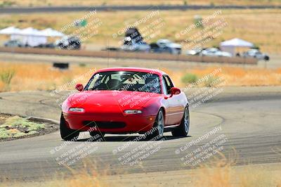 media/Sep-08-2024-VIP Trackdays (Sun) [[e20bd699b9]]/C Group/Session 3-Turns 5 6 and 7/